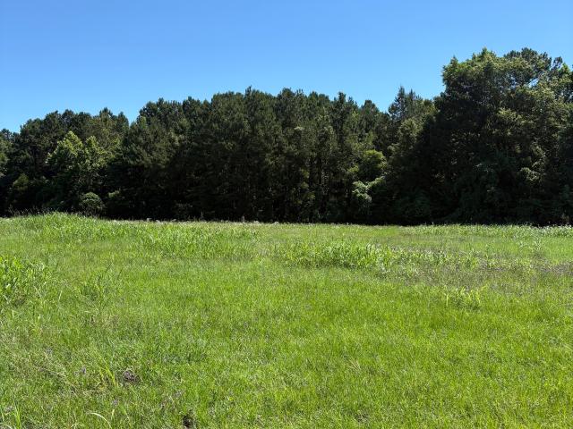 Land for sale in Sandersville, Georgia