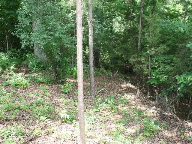 Land for sale in Ark