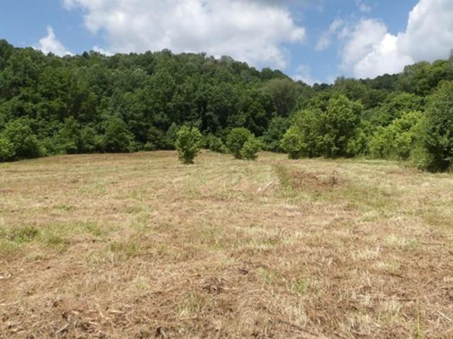 Land for sale in Tennessee