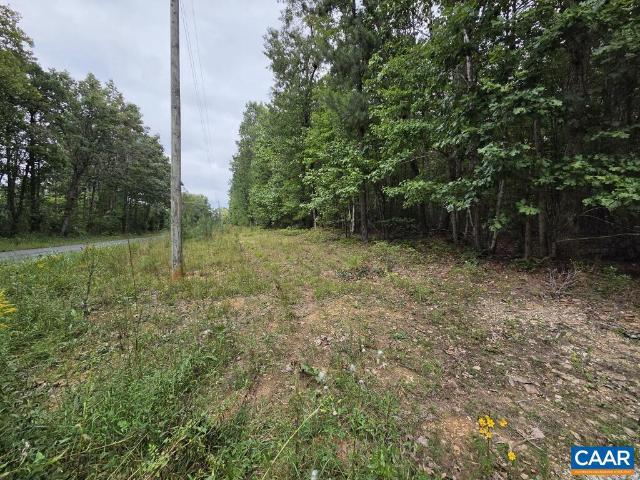 Land for sale in Buckingham County, Virginia