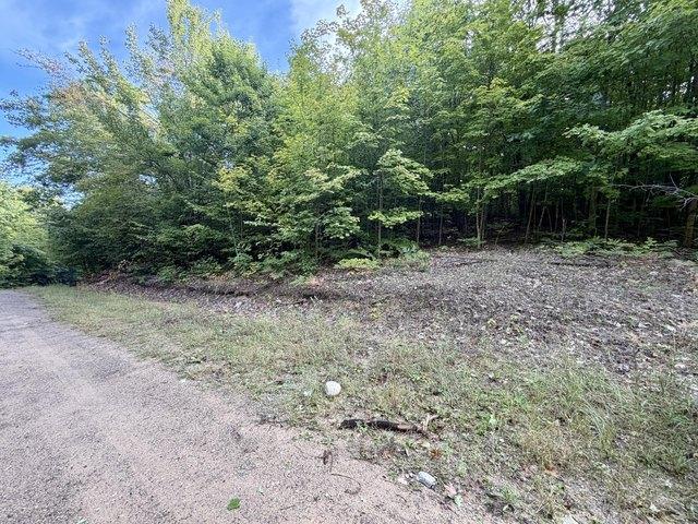 Land for sale in Boyne Falls, Charlevoix County