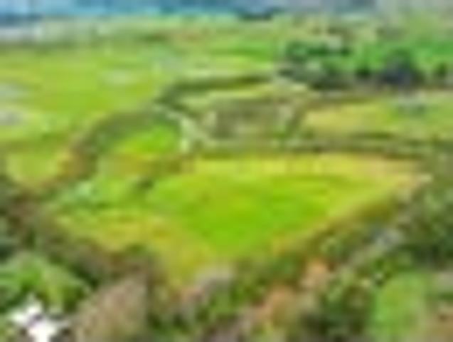 Land for sale in Manawatu District