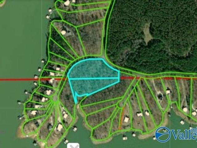 Land for sale in Arley, Alabama