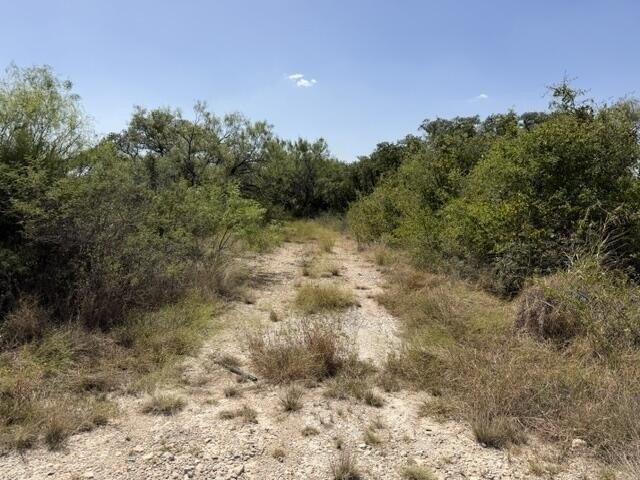 Land for sale in Brady, McCulloch County