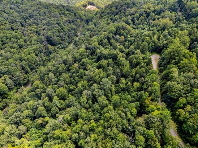 Land for sale in Virginia