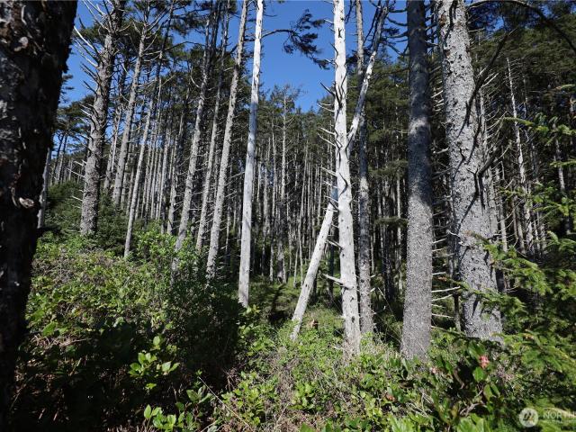 Land for sale in Ocean Grove, Copalis Beach