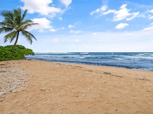 House for sale in Halehomaha, Hanalei
