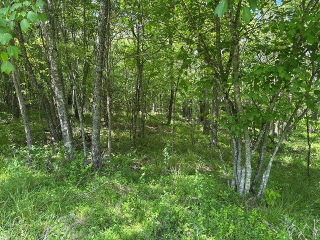 Land for sale in Tennessee