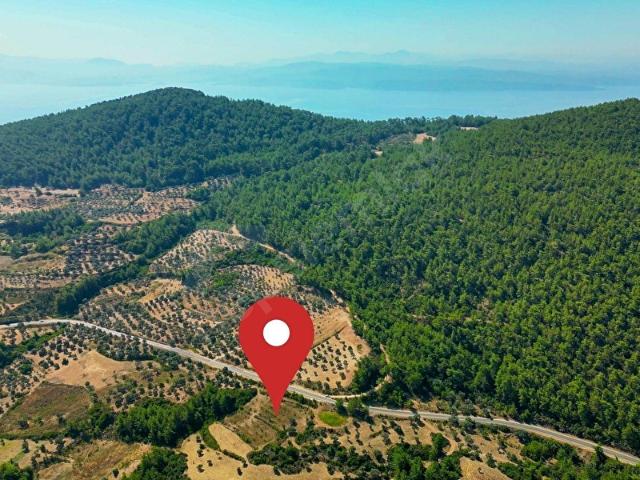 Milas, Muğla içerisinde satılık Arsa