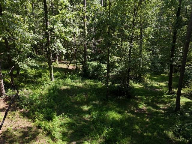 Land for sale in Sharpsburg, Coweta County