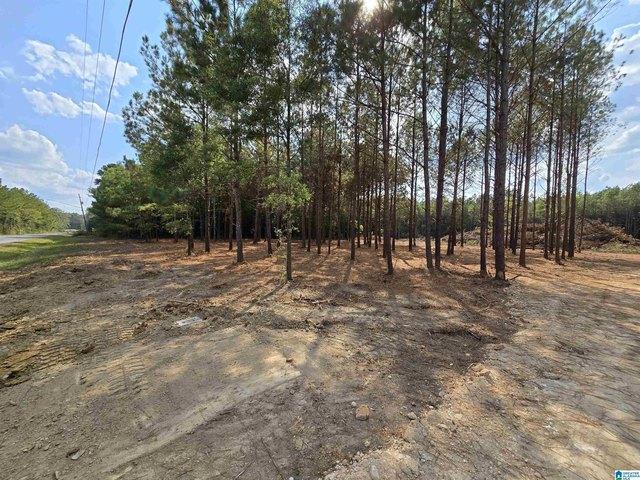 Land for sale in Etowah, Alabama