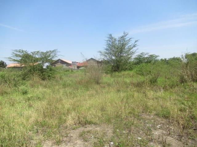 Land for sale