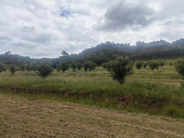Land for sale in Ehlanzeni, Mpumalanga