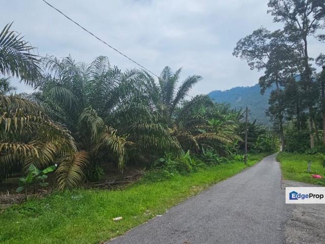 Shop for sale in Perak, Tapah