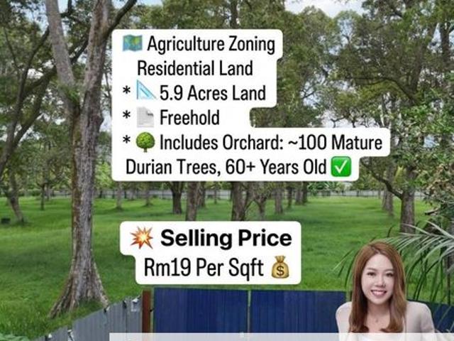 House for sale in Pekan Nanas, Johor