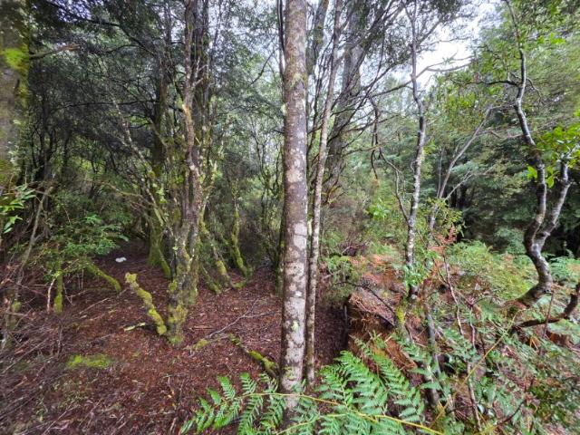 Land for sale in Tasmania