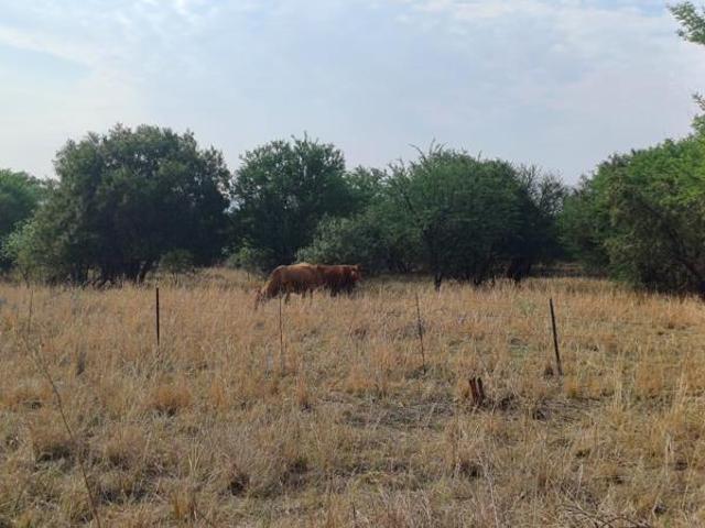 Farm for sale in Westonaria, Gauteng