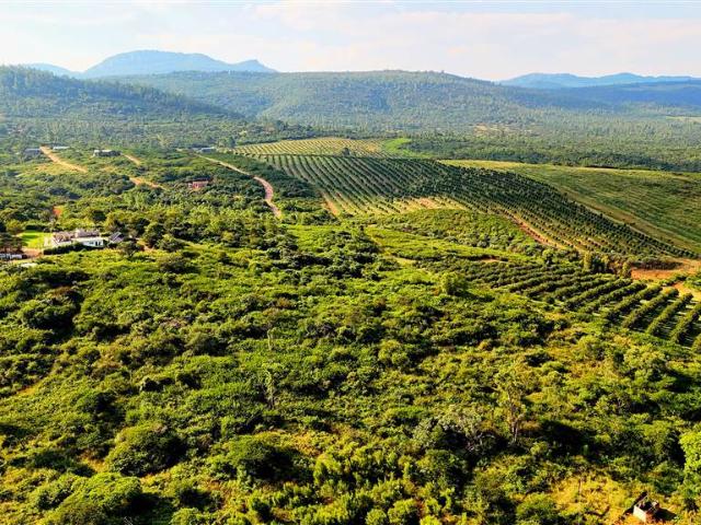 Land for sale in Vhembe, Limpopo