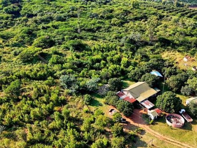 Land for sale in Louis Trichardt, Makhado Local Municipality