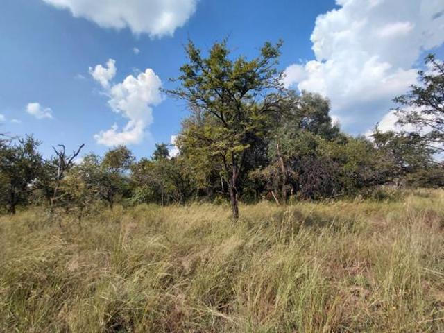 Land for sale in Limpopo