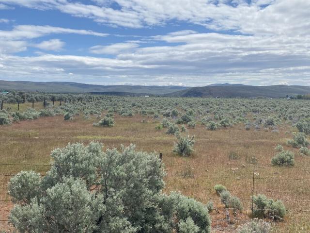 Land for sale in Ellensburg, Washington