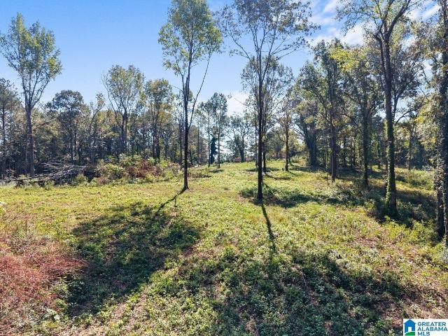 Land for sale in Oneonta, Blount County