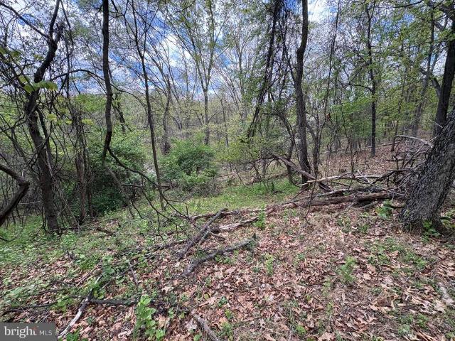 Land for sale in Romney, West Virginia