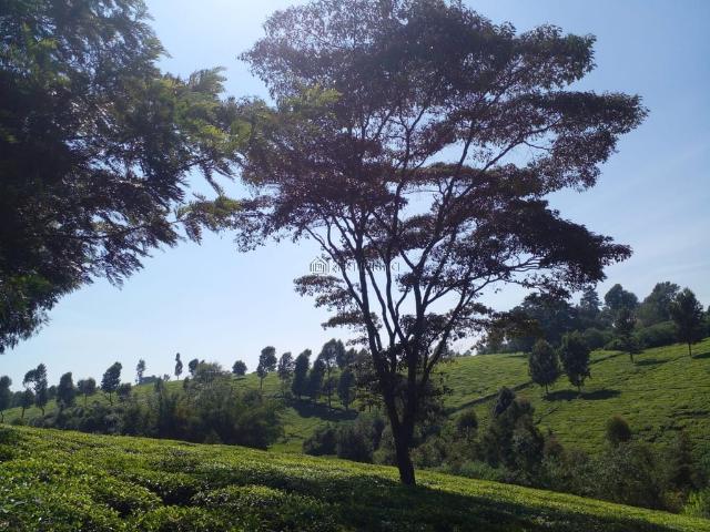 Land for sale in Kiambu