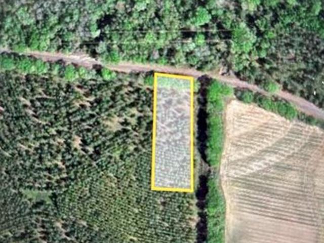 Land for sale in Headland, Alabama