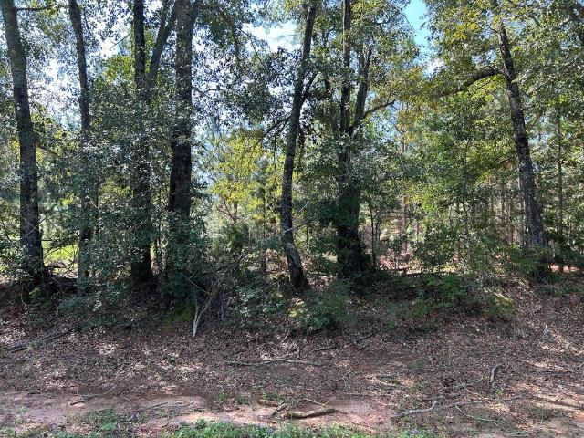 Land for sale in Headland, Henry County