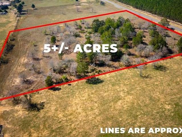 Land for sale in Talbot, Georgia
