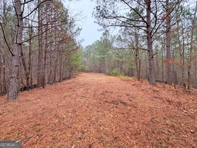 Land for sale in Gilmer, Georgia