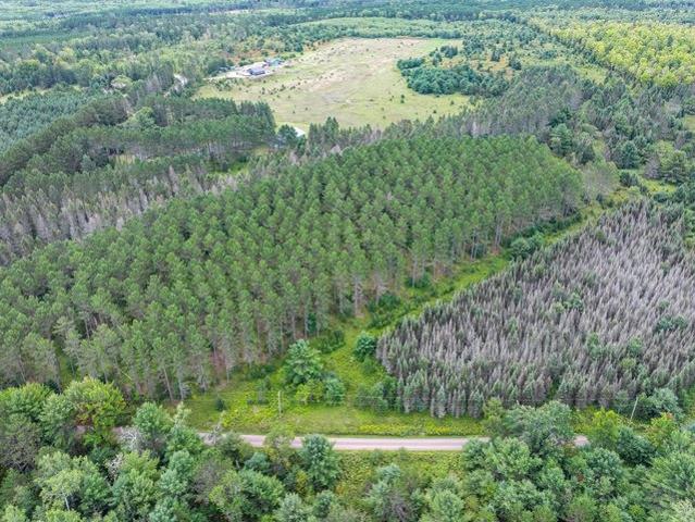 Land for sale in Vilas, Wisconsin