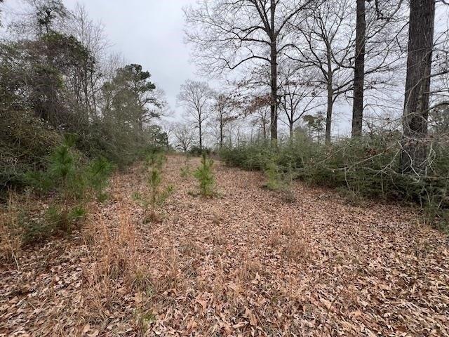 Land for sale in Opp, Alabama