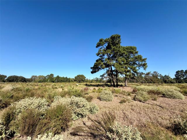 Land for sale in Eunice, Centerville