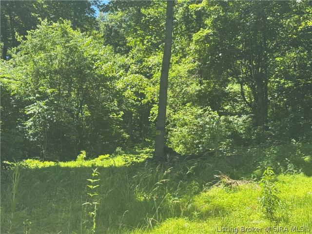 Land for sale in Indiana