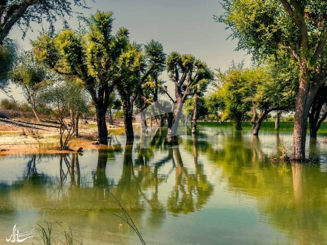 Land for sale in گوادر, مکران ڈویژن