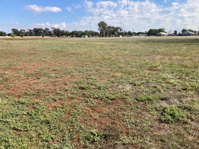 Land for sale in Junee Reefs, New South Wales