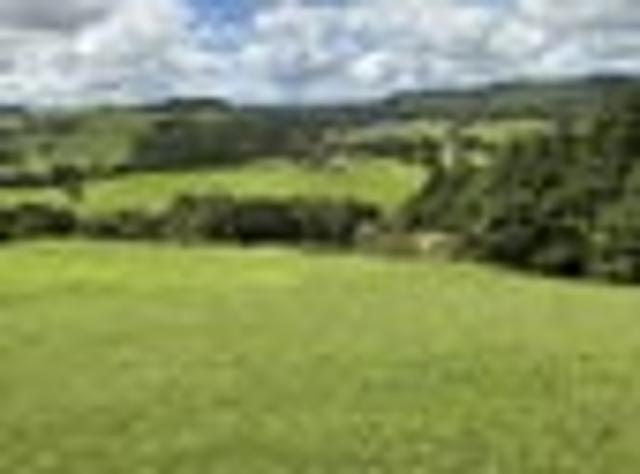 Land for sale in Kawau Island