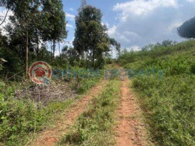 Land for rent in Kikuyu, Kiambu