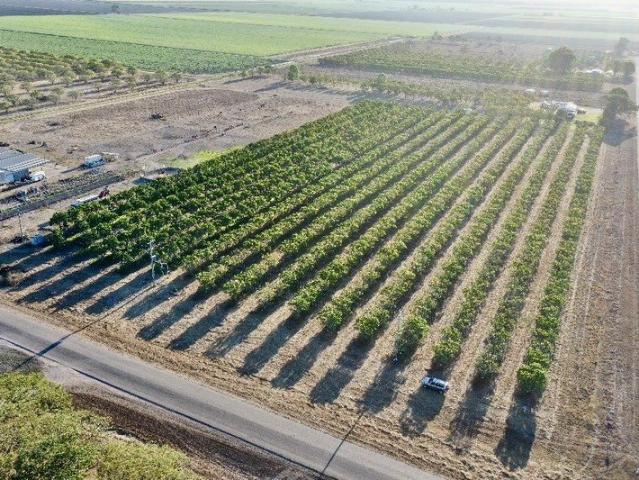 Cottage for sale in Horseshoe Lagoon, Burdekin Shire