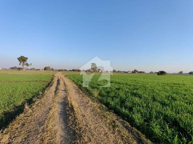 Land for sale in Wazirabad, Islamabad Capital Territory