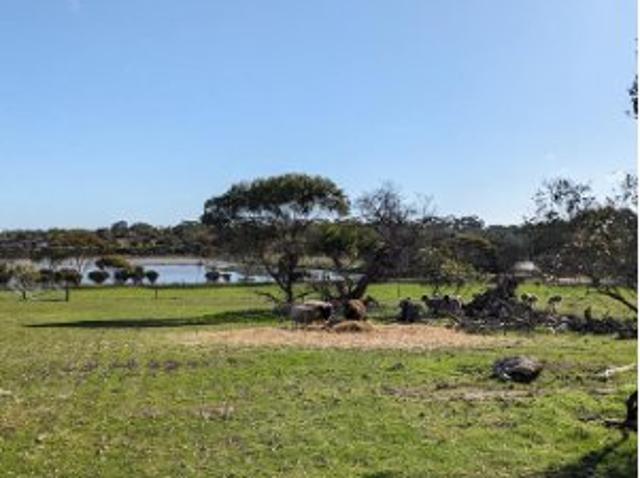 Land for sale in Minlaton, South Australia