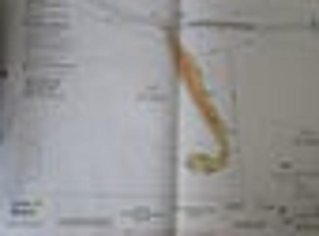 Land for sale in Spark - Warkworth Satellite Earth Station, Rodney