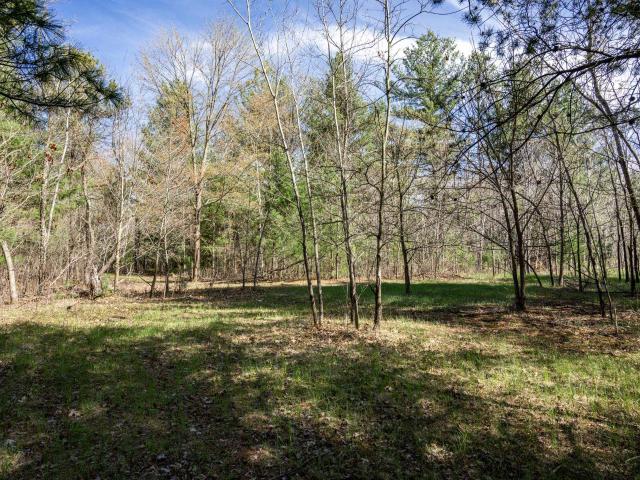 Land for sale in Town of Marion, Juneau County