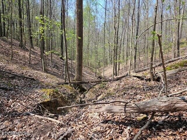 Land for sale in Tennessee