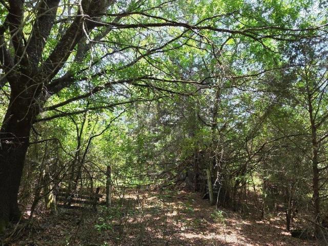Land for sale in Mc Cormick, South Carolina