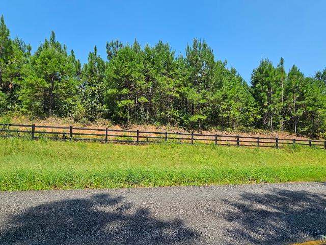 Land for sale in Dale, Alabama
