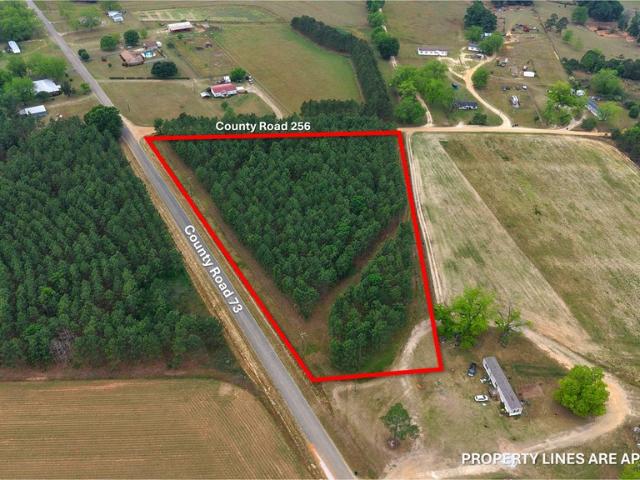 Land for sale in Newville, Alabama