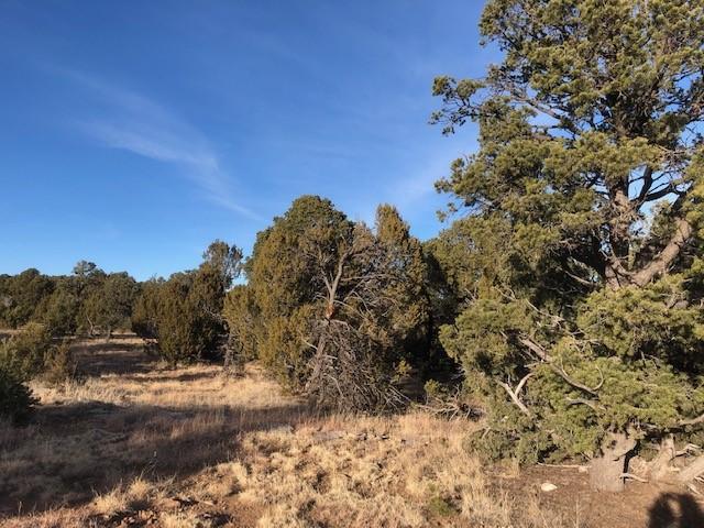 Land for sale in New Mexico